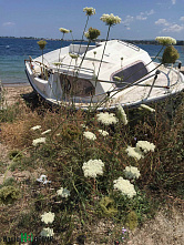 Вся Греция – на одном острове