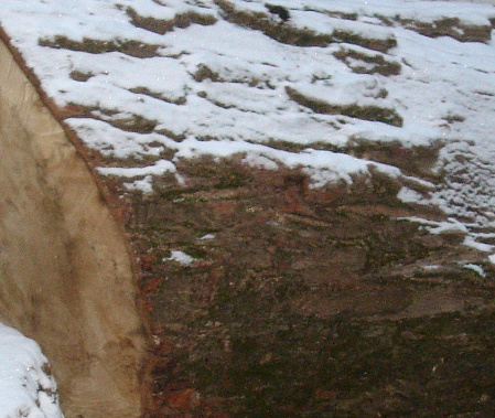  По липовым документам лесную продукцию контрабандно отправили за кордон