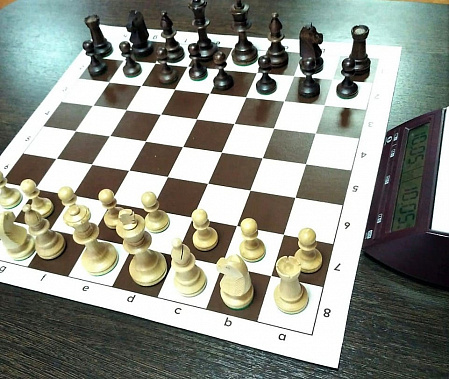 Дончане выступят на межрегиональном шахматном турнире
