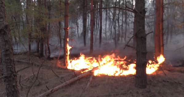 В Ростовской области в очередной раз из-за жары объявили штормовое предупреждение