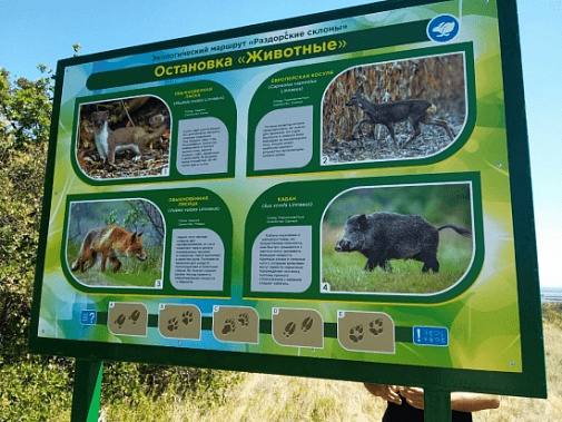 «Раздорские склоны»: по экологической тропе