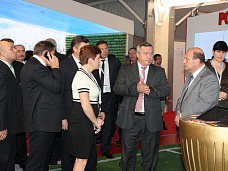 Стадион для чемпионов_11180