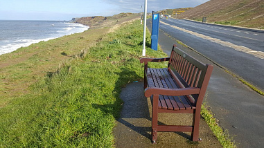 Остров и его обитатели