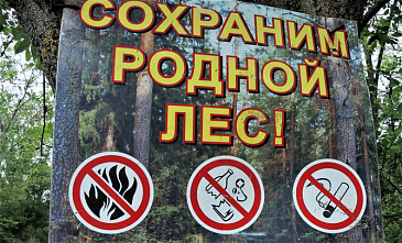 Сотрудники подразделений донского главка МЧС спасли на пожарах 16 человек