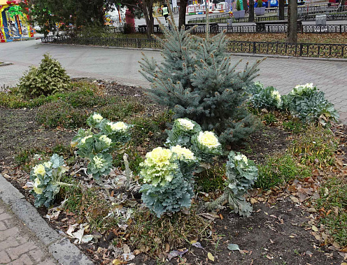 Краски осени