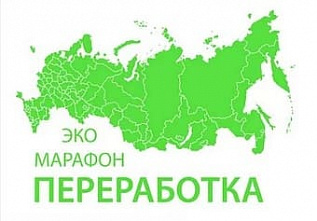 «Сдай макулатуру - спаси дерево!»
