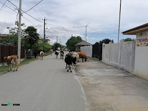 Абхазия. 210 километров южного побережья