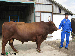 Нью-Васюки, наука об уме и рецепт счастья