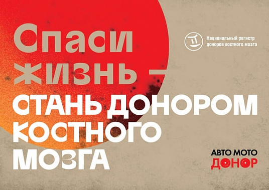 Ростовские медики и волонтеры призывают к донорству автопробегом﻿