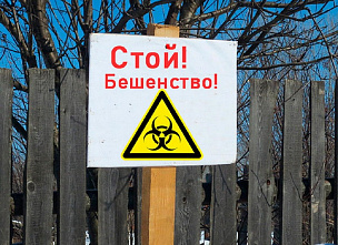 Часть территории Боковского района закрыта на карантин