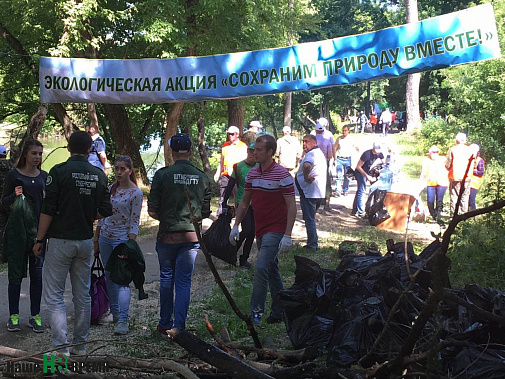 Исцеление Темерника