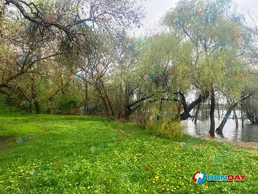 В результате нагонной волны оказалась подтопленной территория левого берега напротив Зеленого острова. Источник фото: DonDay