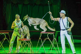 Новогодние путешествия с Мельпоменой