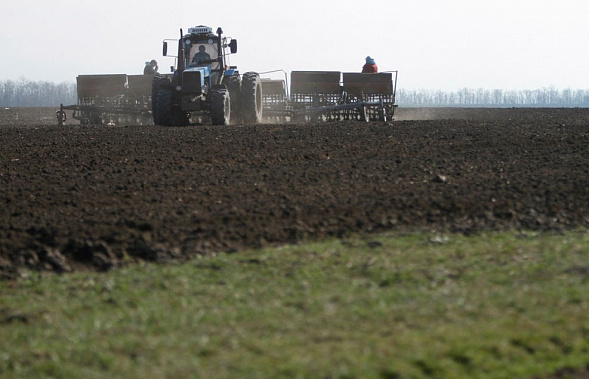 Источник фото: mcx.gov.ru