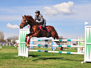 Все решила шпага