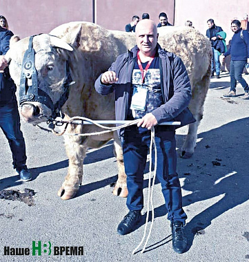 Сергей ЗАЙЦЕВ побывал несколько лет назад на сельскохозяйственной выставке в Париже. Разумеется, интересовали его быки. Но даже самые лучшие выставочные, уверен он, нашим «калмыкам» по выносливости и стойкости уступают.
