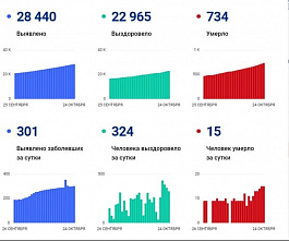 Коронавирус в Ростовской области: статистика на 24 октября