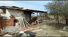 Последствия серии пожаров в Цимлянском районе
