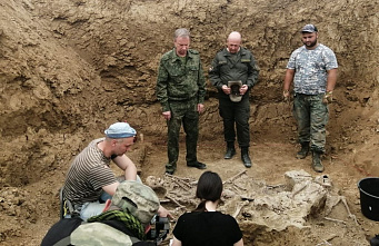 В Сальском районе нашли расстрельные ямы