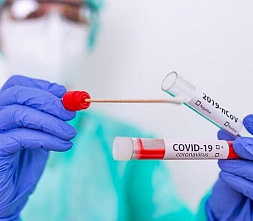 В Ростовской области снова пиковые значения по заболеваемости COVID-19: +489 пациентов