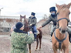 Миллеровские конники охраняют порядок круглый год