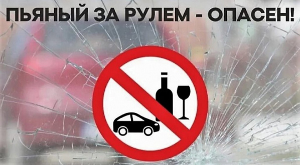Ростов-на-Дону: у пьянствующих шоферов машины забирают в собственность государства