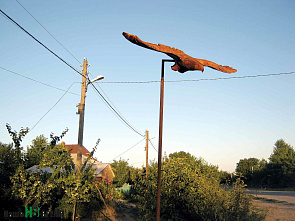 Новое дело для бензопилы