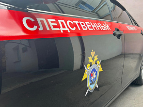 Ростовские следователи устанавливают обстоятельства нападения стаи собак на ребенка