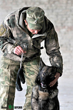 Собаки свое дело знают