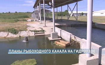 В Ростовской области вернулись к идее строительства рыбоходного канала на Кочетовском гидроузле