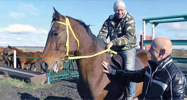 «Конная тяга»