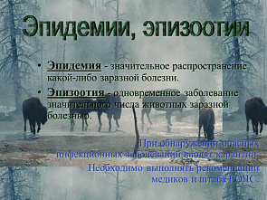 Как предотвратить эпизоотии