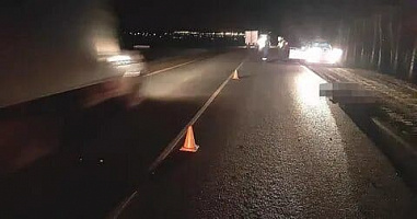 Под Ростовом сбили насмерть пенсионера, перебегавшего трассу