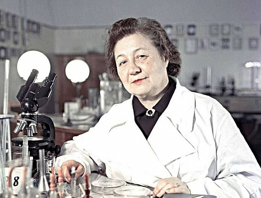 ИСТРЕБИТЕЛЬ ЕРМОЛЬЕВА
