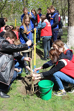 Всероссийская социальная акция «Дерево памяти» продолжается в Новочеркасске