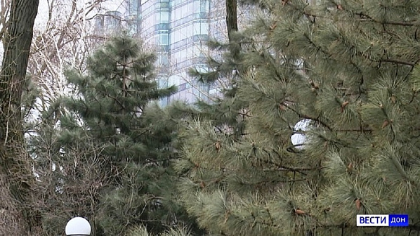 Источник фото: ГТРК 