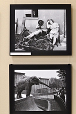 В Ростове проходит уникальная выставка о Великой Отечественной