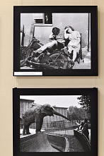 В Ростове проходит уникальная выставка о Великой Отечественной