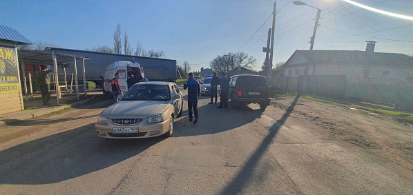 В Зерноградском районе иномарка сбила 10-летнюю девочку