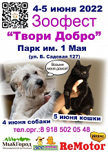 В Ростове-на-Дону 4 и 5 июня пройдет зоофестиваль приютов для животных