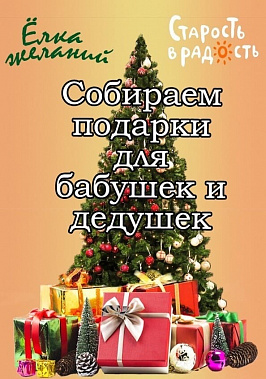 Жителям Дона предлагают сделать новогодний подарок одиноким старикам