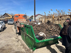 На Дону приступили к региональной уборке