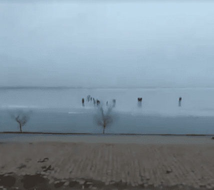 В Таганроге с отколовшейся от берега льдины сняли 21 человека