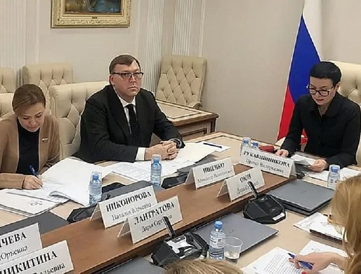Донские парламентарии выступили с законодательной инициативой в Совфеде РФ