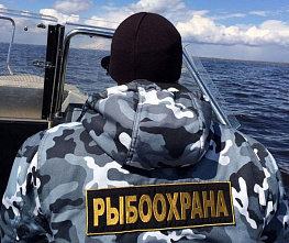 Плановые проверки больше не нужны Росрыболовству