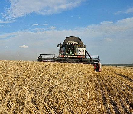 Источник фото: stepnaya-now.ru