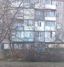 Жители Шахт жалуются на завалы сухостоя по всему городу