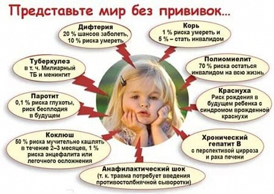 Фото сайта school13-chita.ru