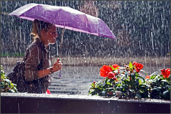 Фото сайта liveinternet.ru