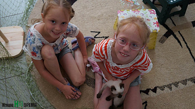 Как кошки-крошки  с друзьями встретились